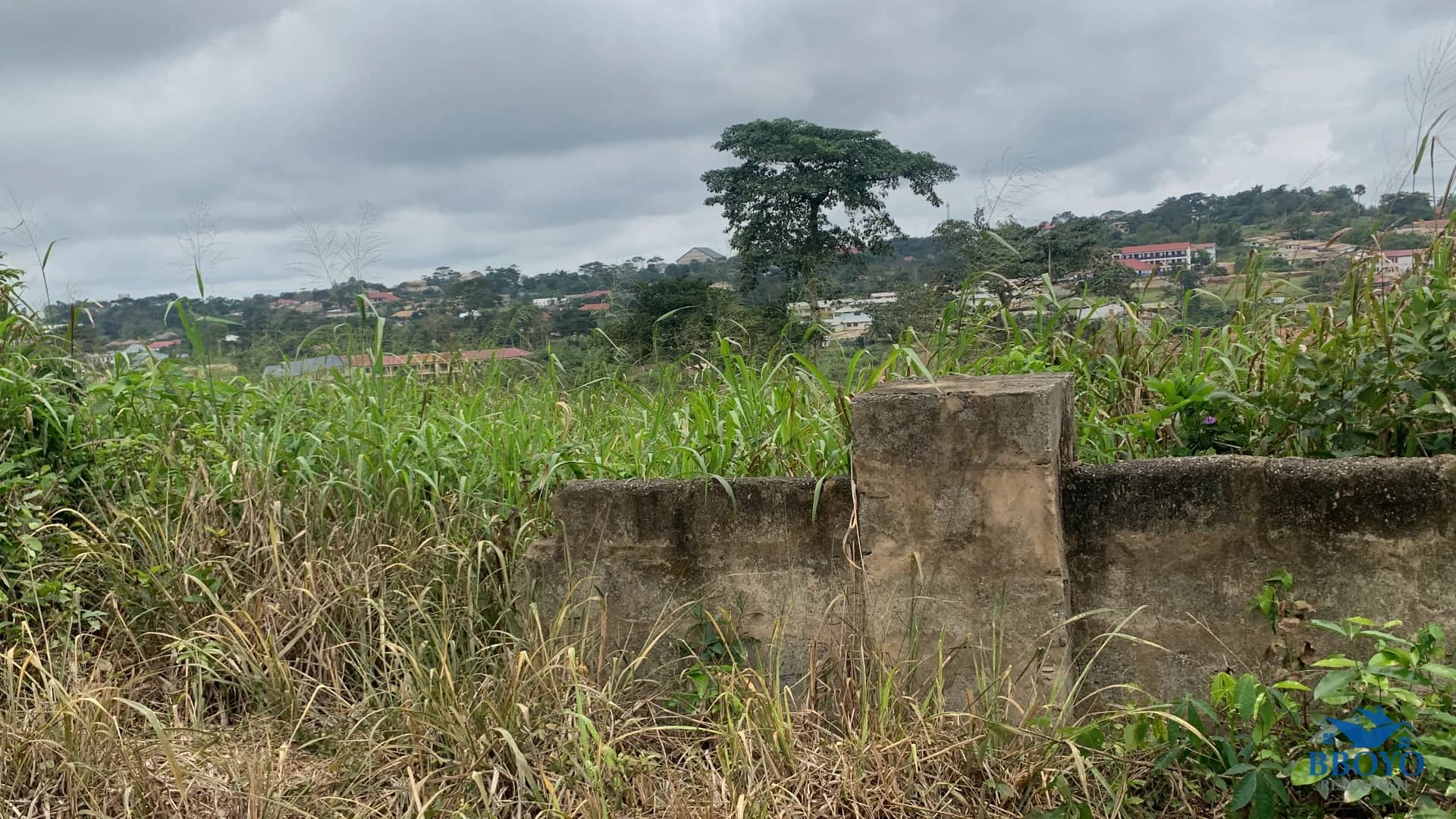 1 Plot of land for sale — photo 4