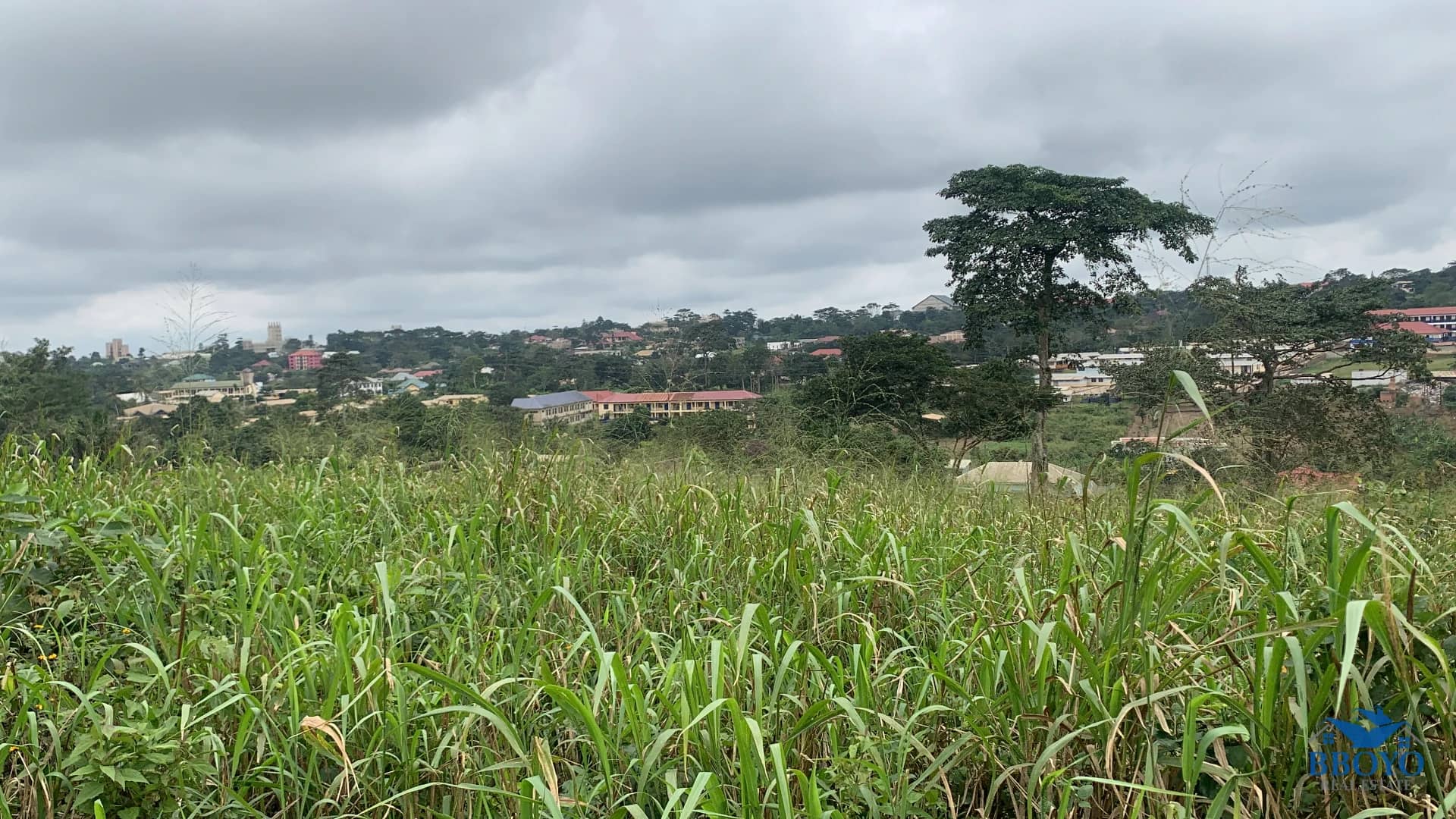 1 Plot of land for sale — photo 7