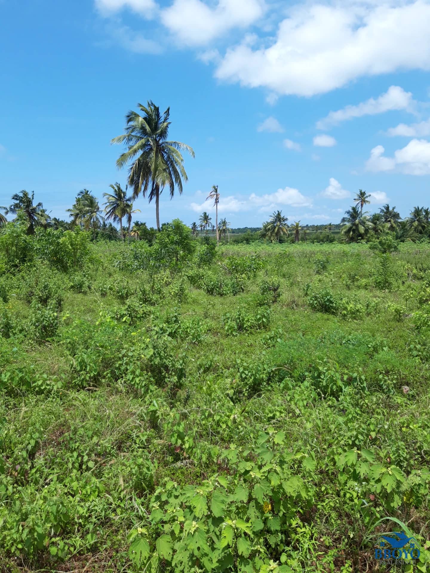 LAND