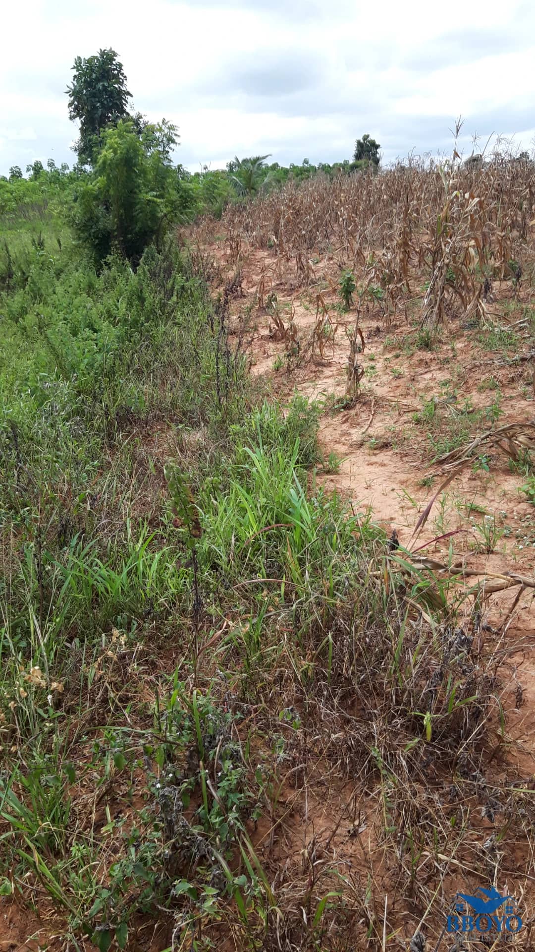LAND — photo 7