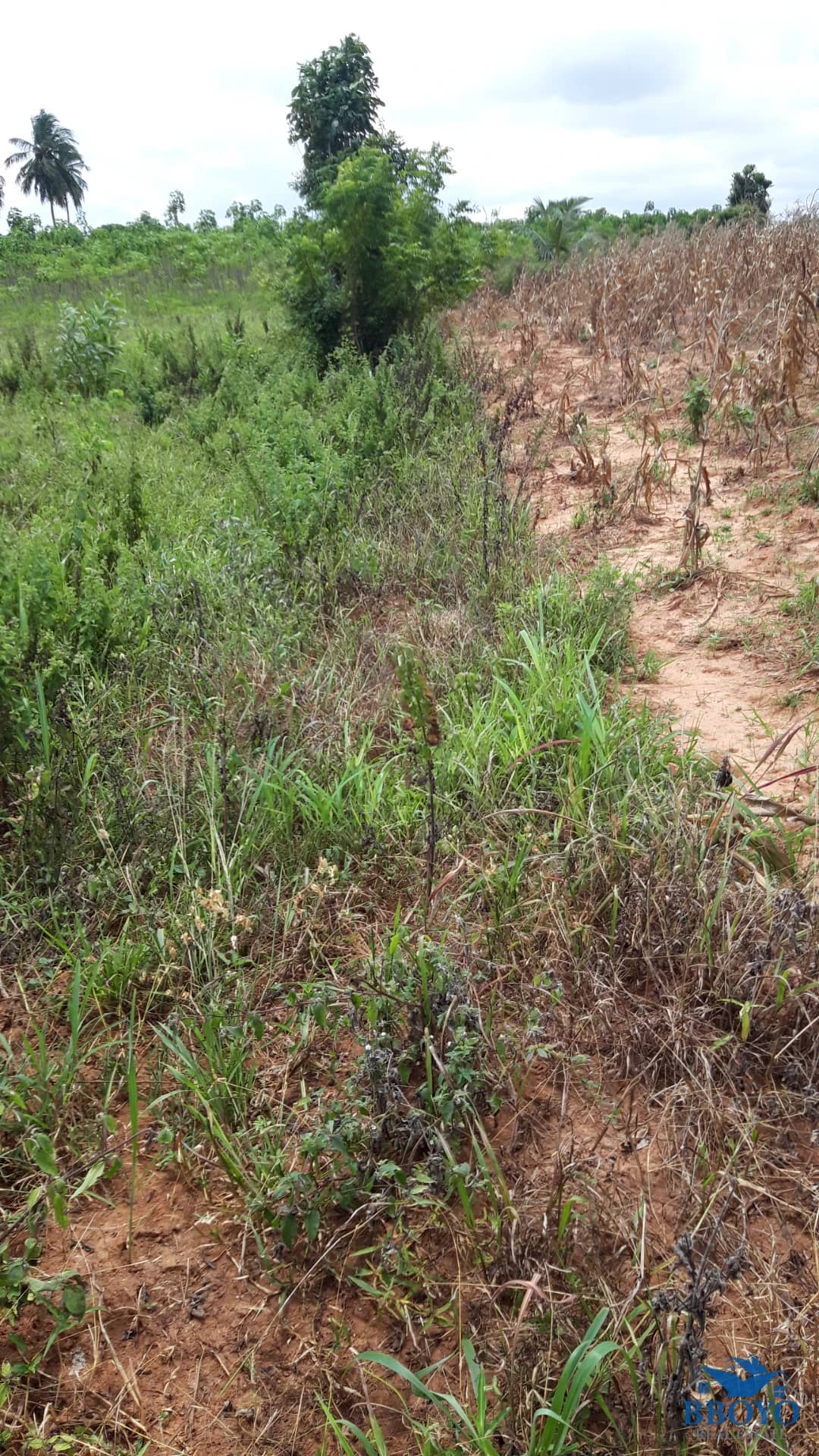 LAND — photo 3