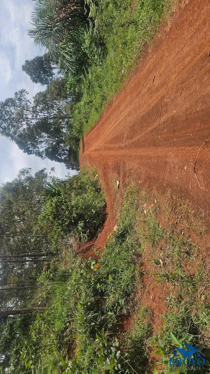 500m2 plot area standing — photo 3
