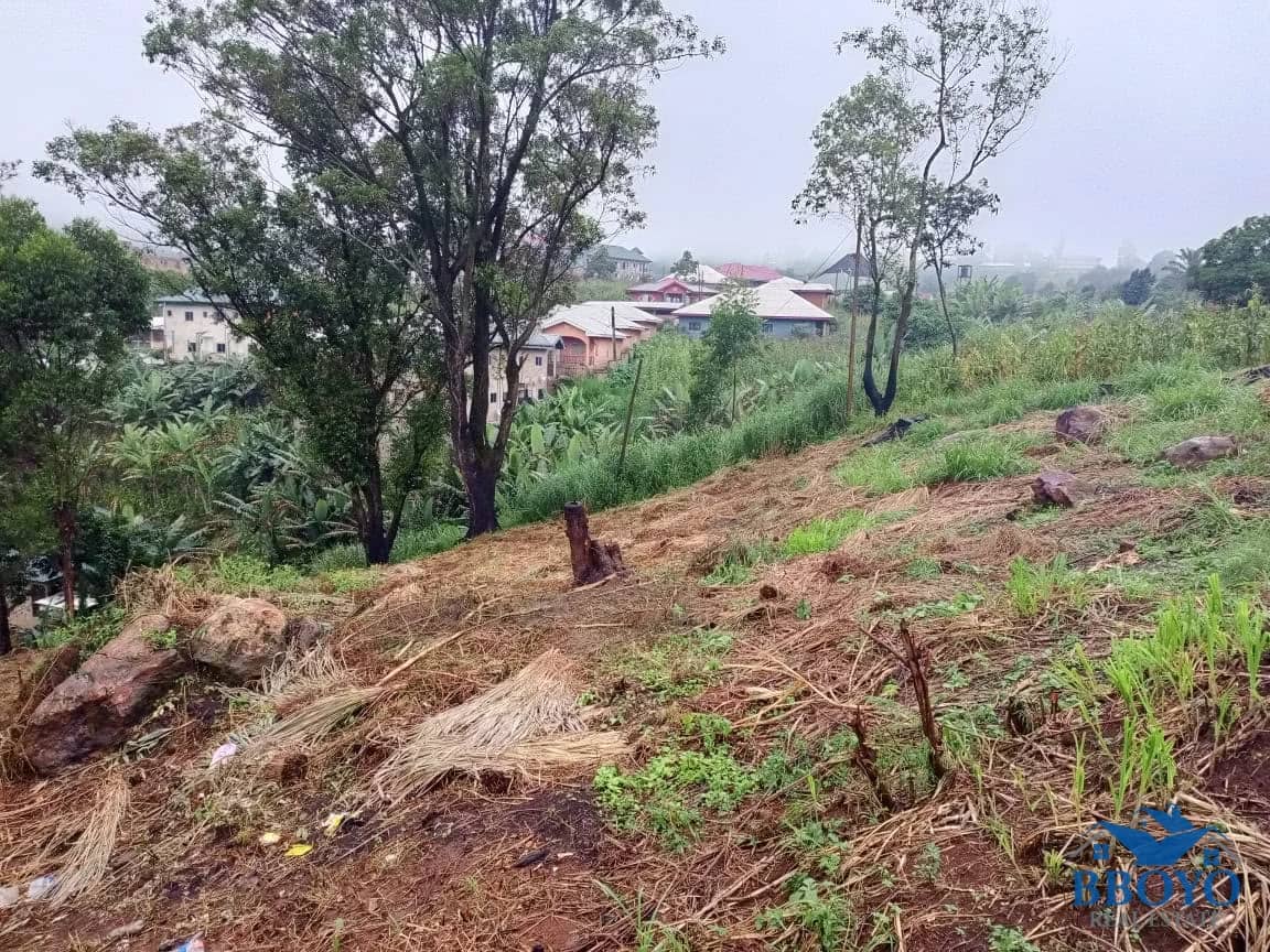 500m2 plot area standing — photo 6