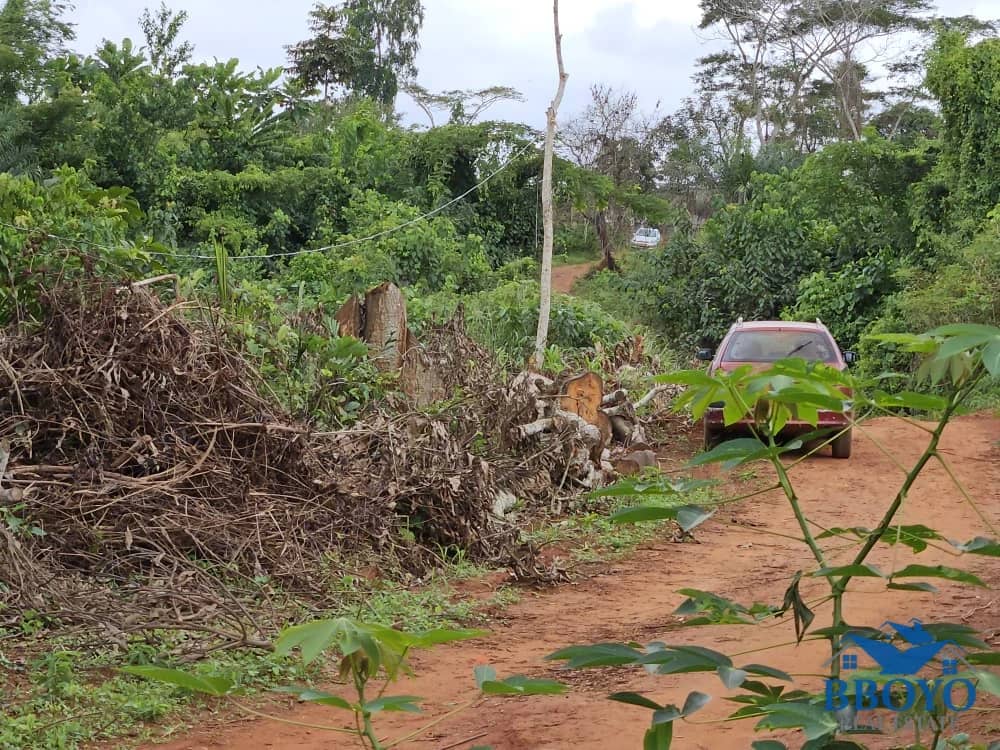 Accessible plot area at Nkomtou Yaounde 1000m2
