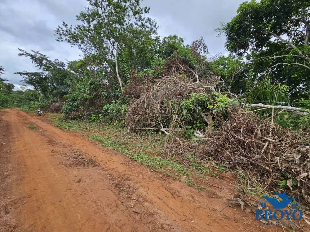 Accessible plot area at Nkomtou Yaounde 1000m2 — photo 7