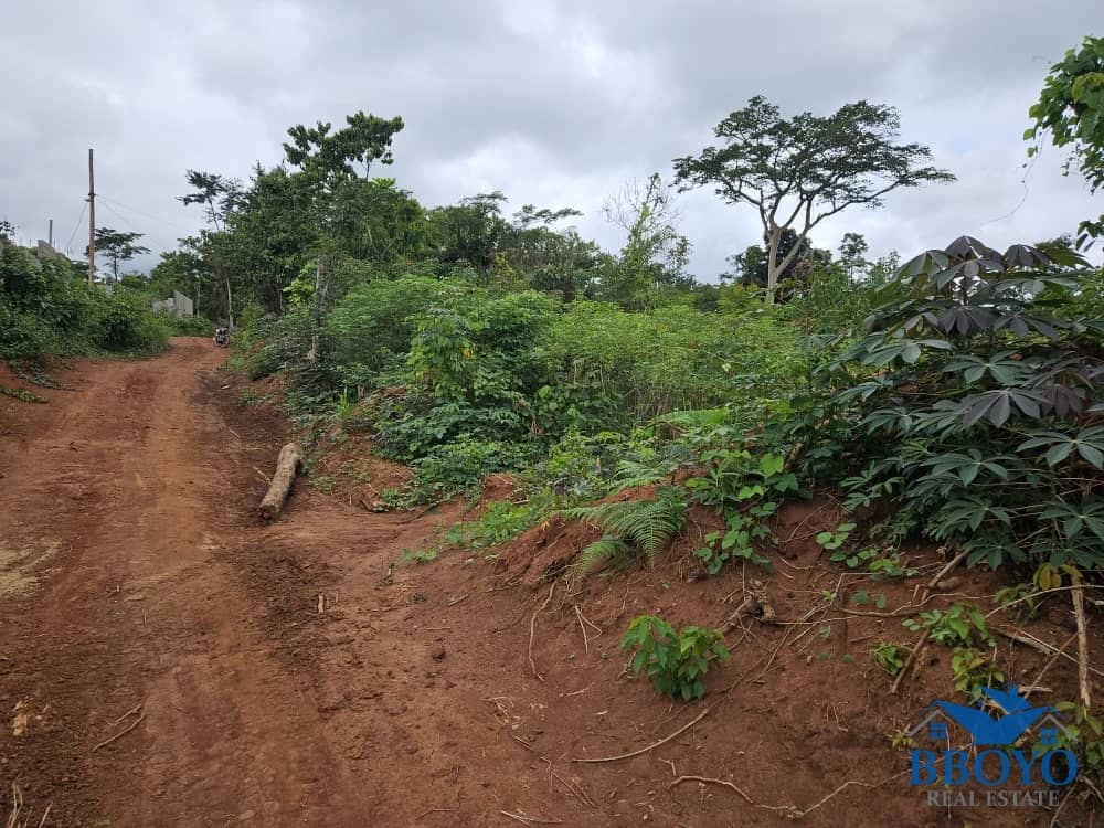 Residencial land — photo 4