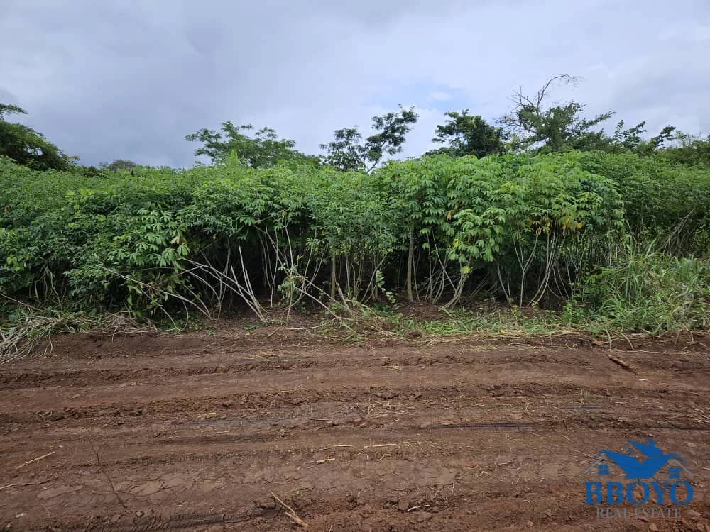 1000m2 prime land available in Nkomtou Yaoundé