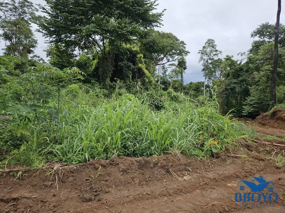 500m2 plot area standing