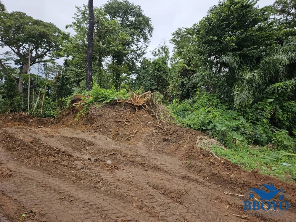 500m2 plot area standing — photo 2
