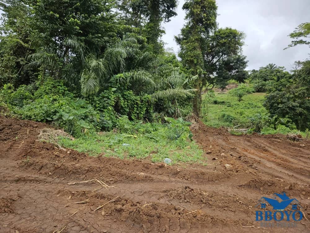 500m2 plot area standing — photo 4