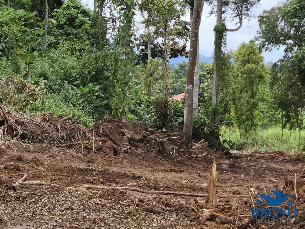 500m2 plot area standing — photo 5