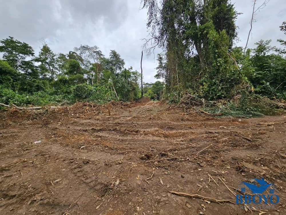 10000m2 plot available — photo 2