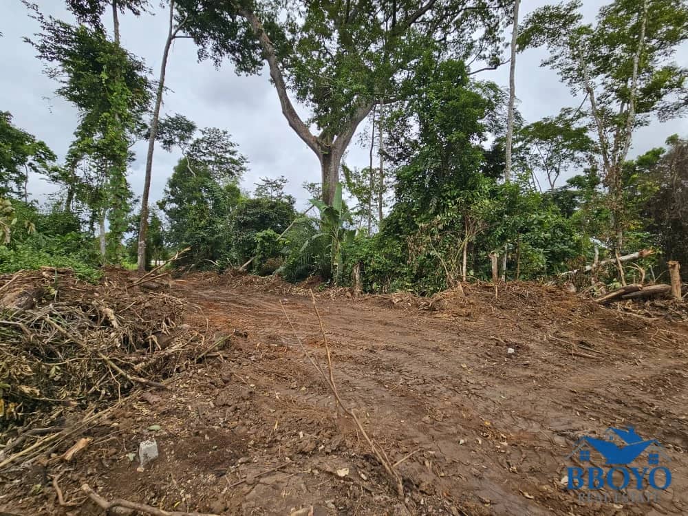 10000m2 plot available — photo 3