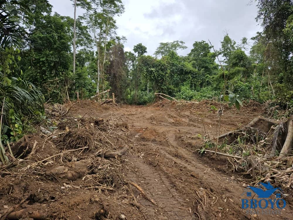 10000m2 plot available — photo 5