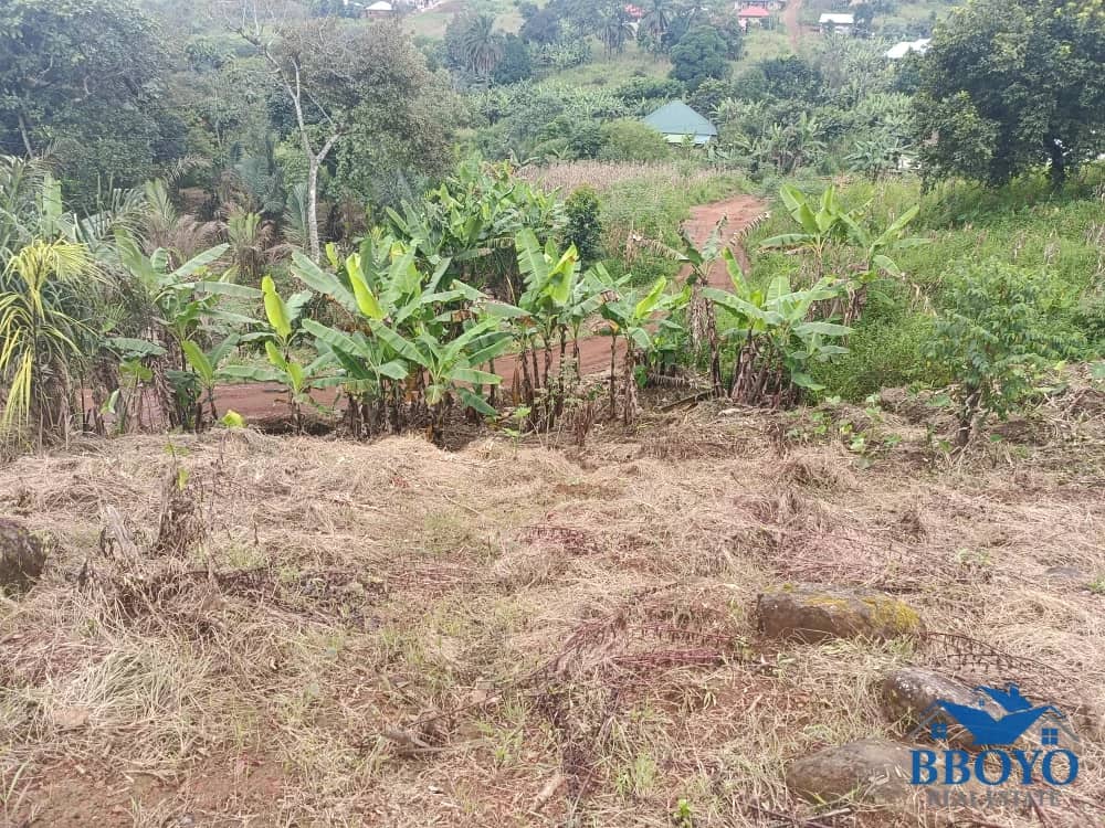 Pa Chengwa's Land